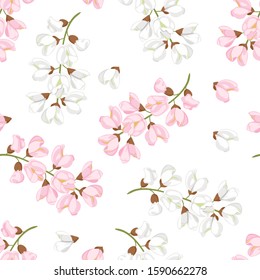 Acacia flowers seamless pattern. Branches of blooming acacia isolated on white background. Vector illustration of blossoming tree in cartoon flat style. White and pink acacia.