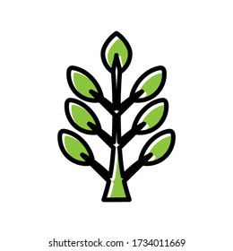 acacia hand drawn icon vector design