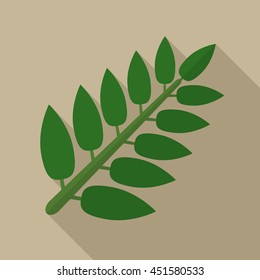 Acacia leaf flat icon illustration isolated vector sign symbol