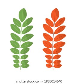 Acacia leaf. Spring green and autumn orange. Isolated vector illustration on white background