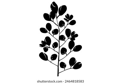 acacia leafs and flowers vector silhouette. Medicinal tree branch with leaves, Acacia set graphic black and white flower leaves seeds
