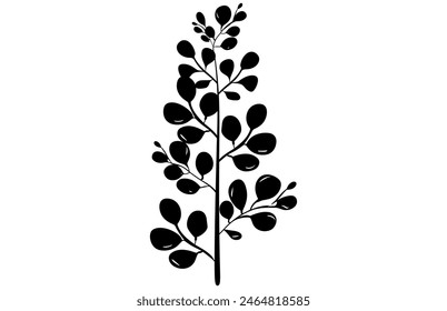 Akazienblätter und Blüten Vektorgrafik Silhouette. Medizinischer Baumzweig mit Blättern, Acacia Set Grafik Schwarz und Weiß Blütenblätter Samen
