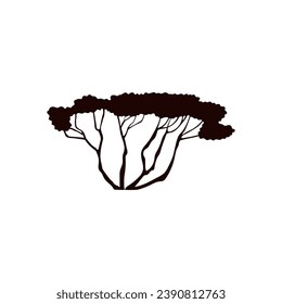 Acacia tree black silhouette icon. Exotic desert flora and nature, African savanna tree, jungle plants. Vector outline illustration isolated on white background