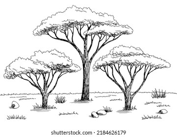 Acacia tree grove graphic black white landscape sketch illustration vector 