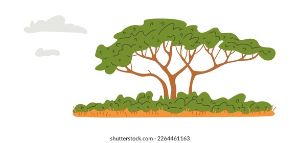 Acacia tree growing in african savanna, flat vector illustration isolated on white background. African Acacia tree on piece of lawn colorful cartoon icon or symbol.