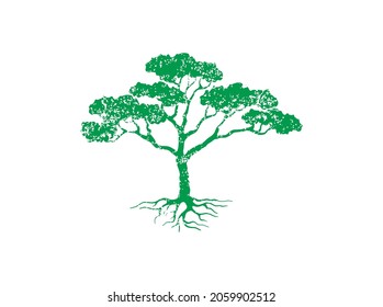 acacia tree hand drawn, green tree with rough style