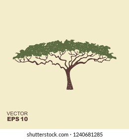 Acacia tree silhouette. Flat icon with scuffed effect