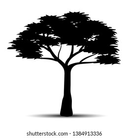 Acacia Tree silhouette vector illustration with  leaves and roots, can use for logo inspiration, design element and decoration isolated on white background