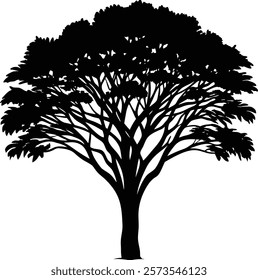 Acacia tree silhouette vector illustration