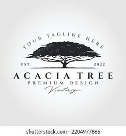 acacia tree silhouette vector logo symbol illustration design, vintage tree logo design