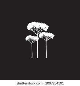 Acacia tree vector illustration silhouette