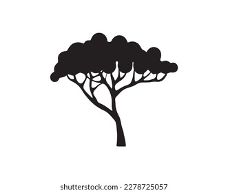 acacia tree vector silhouette, isolated on white