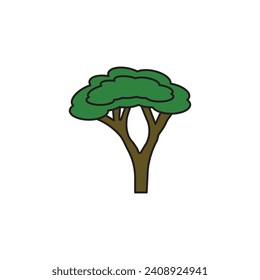 acacia tree vector type icon