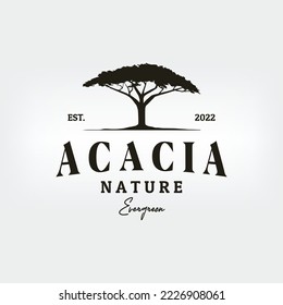 acacia tree vintage logo vector minimalist illustration design, acacias nature plant logo design