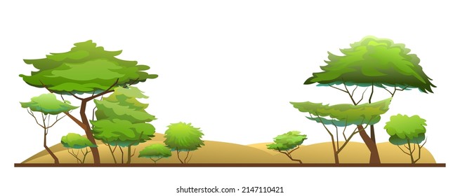 Acacia trees. Africa savanna plants. Sand mounds and dunes. African landscape. illustration Isolated on white background. Vector.