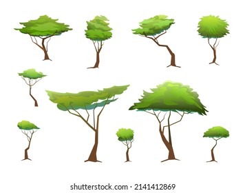 Acacia trees set. Africa savanna plants. African landscape. Isolated on white background. Vector.