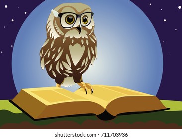Academic owl with a book