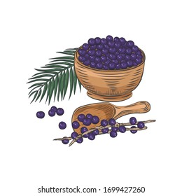 Acai berries close-up isolated on white background. Acai berries in bowl and spoon. Still life with acai leaves and branches.