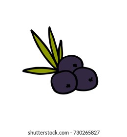 acai berries doodle icon