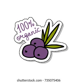 acai berries doodle icon