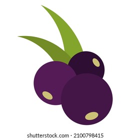 acai berries flat clipart vector illustration