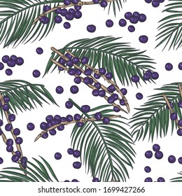 Acai berries on white background seamless pattern. Acai plant elements and berries seamless background.