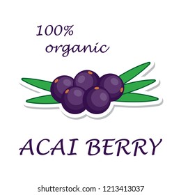 Acai berries. Organic ingredient. Healthy eco food. Sticker isolated on white background. Vector illustration.