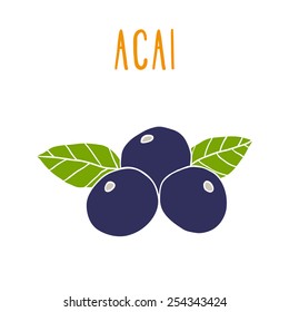 Acai Berries. Vector EPS 10 Hand Drwn Illustration