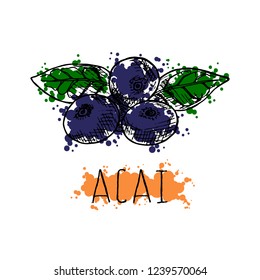 Acai Berries. Vector hand-drawn illustration. Isolated object on a white background. Lettering. Splash style.