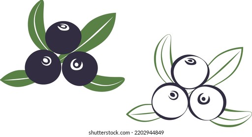 Acai berry, blueberry, blackberry vector illustration icon with colors and outlines.