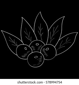 Acai berry branch, leaves superfood hand drawn sketch illustration. 