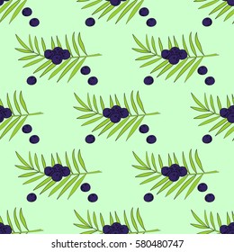 Acai berry branch, leaves superfood hand drawn sketch illustration in color. Seamless pattern.