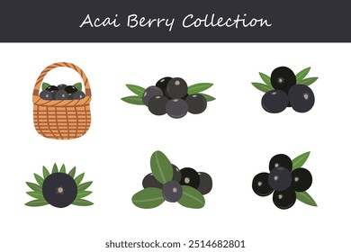 acai berry coleção em poses diferentes. Ilustração vetorial.