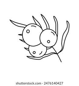 Acai berry en estilo doodle. Vector aislado sobre fondo blanco