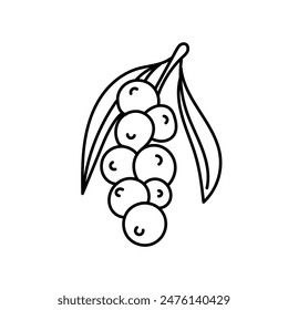 Acai berry en estilo doodle. Vector aislado sobre fondo blanco