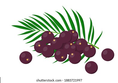 acai berry with a green palm leaf