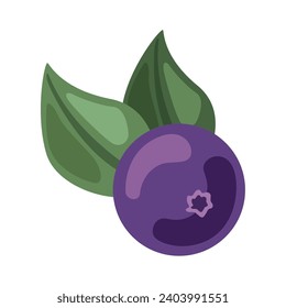 acai berry illustration vector isolated