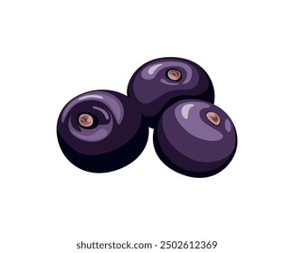 Baya de Acai aislada sobre fondo blanco. Vector ilustración de dibujos animados. Icono de supercomida.