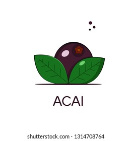 Acai berry on a  white isolated background.Super food. Brazilian berry. Vector illustration.