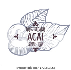 Acai organic fruit label, monochrome sketch outline. Isolated berry rich in vitamins and antioxidants. Menu and dieting for healthy living and lifestyle. Superfood emblem, vector in flat style