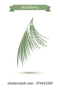 Acai palm leaves and acai berries vector illustration isolated on white background. Superfood acai green silhouette berry fruit.