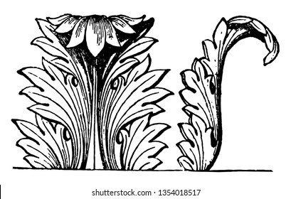 Acanthus Decoration is an acanthus decoration of an architectural column, vintage line drawing or engraving illustration.