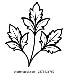 Acanthus flower vector on white background