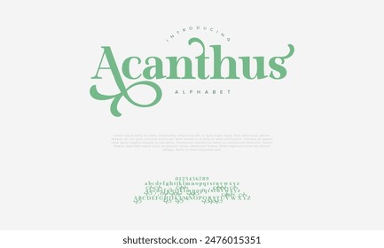 Acanthus letras y números de alfabeto elegantes de lujo premium. tipografía de boda Antiguas classic serif font decorativo vintage retro. Ilustración vectorial creativa