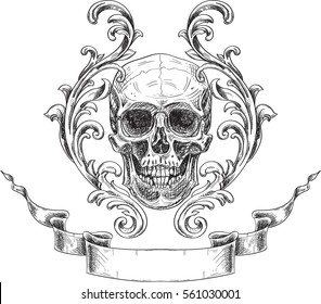 Acanthus and skull. Coat of arms in engraving style