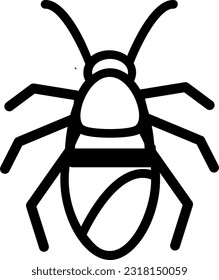 acari mite insecto insecto escarabajo 85