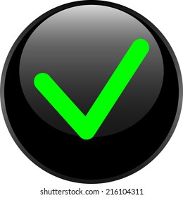 Accept circle glossy web icon on white background