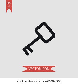 Access key vector icon, illustration symbol