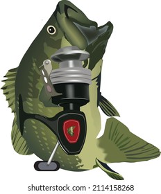 accessories for sport fishing spinning and reel