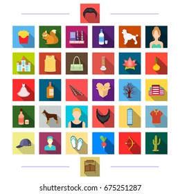 accessories, textiles, medicine and other web icon in flat style.gate, tourism, business, icons in set collection.
